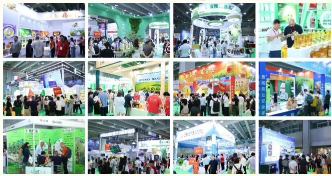 2027粮油展图16.png 2027粮油展图16.png